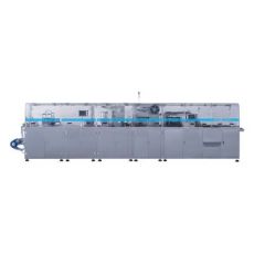 DHC-250P 泡罩自動(dòng)裝盒生產(chǎn)線(xiàn)