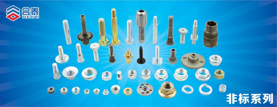 非標(biāo)螺絲釘 緊固件
