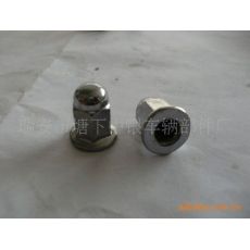 非標蓋型螺母，蓋型螺母，螺母