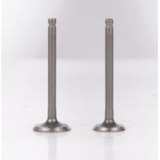 摩托車(chē)JH70進(jìn)排氣門(mén)